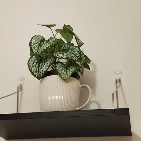 Apartamento Mami *